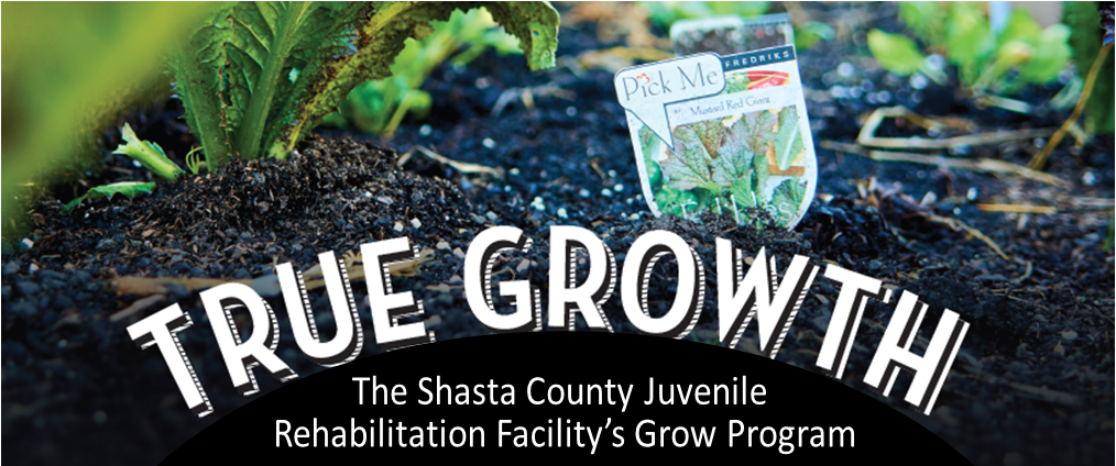 THE SHASTA COUNTY Probation Department’s Juvenile Rehabilitation Facility is growing more than just fruits and vegetables-through-its-innovative-GROW-program;-it’s-growing-the-lives-of-the-young-offenders-in-its-care.young-offenders-in-its-care.